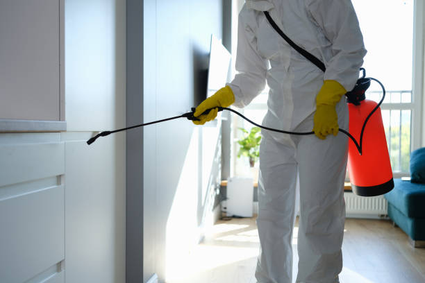 Best HVAC Mold Remediation in Mount Sterling, KY